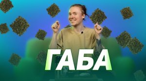 Этот Чай точно заменит тебе алкоголь и другие вещества | ЧАЙ ГАБА