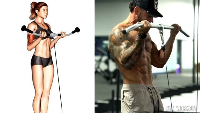 Biceps Long Head Brachialis and Biceps Short Head Workout - Bicep