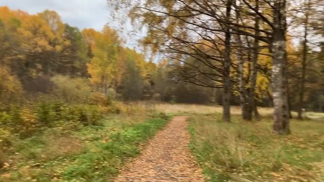 Цветотип «Осень». ПСИХОЛОГИЯ ЦВЕТА смотреть онлайн