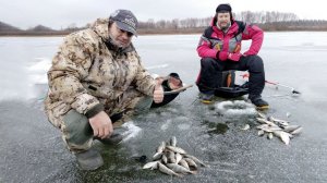 На безнасадку в окском затоне по перволедью. Ловля ОКУНЯ и ПЛОТВЫ в Дуденево