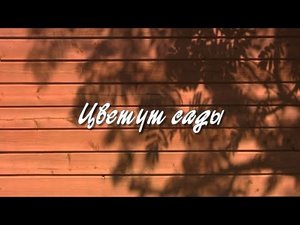 Цветут сады.  Дачные картинки.