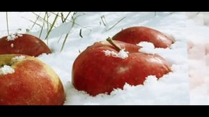 Олег Чуприн - Яблоки на снегу (кавер)