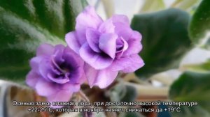 О погоде в Валенсии по месяцам (климат, температура воды и воздуха, прогноз)