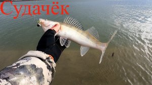 Джиг спиннинг на Кубани первого января 2022г