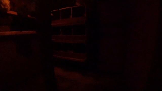 Гнезда для кур. Гнездо блок .3 часть смотреть онлайн