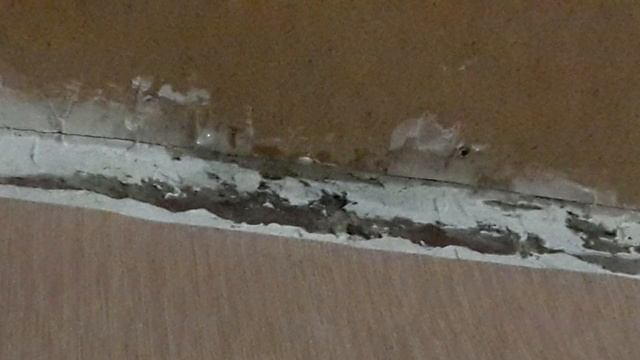 Потолок доверия. (ООО УК "Доверие")//Русский ЛАД Новокузнецк смотреть онлайн