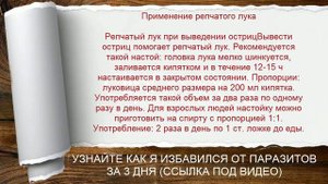 Острицы У Человека Лечение В Домашних Условиях