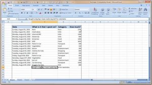 Entering and Formatting Data in Excel