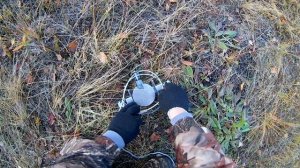Настораживание живоловушки от СУАС