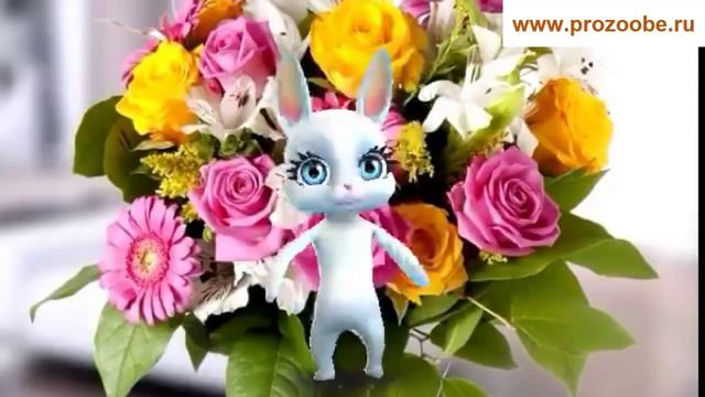 Поздравление на день рождения девушке, женщине ❃❃❃ Побольше ярких эмоций ❃❃❃ Поздравления от Зайки смотреть онлайн