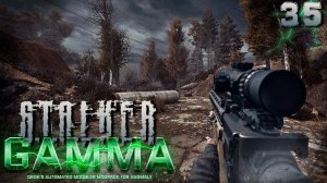 S.T.A.L.K.E.R.  Anomaly GAMMA (35) ► В обличии свободовца