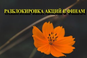 Разблокировка акции в Финам