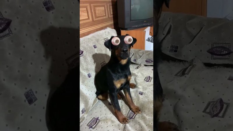 Глаза
