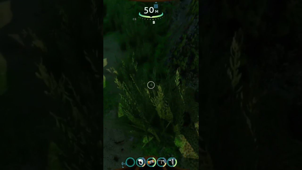 Subnautica, VladLinch