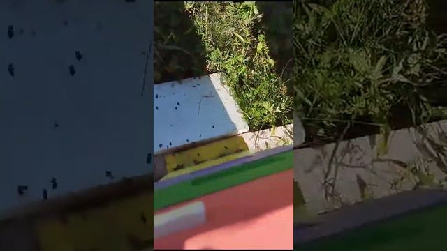 25 февраля 2024 г. смотреть онлайн