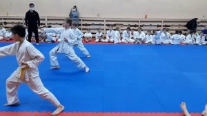 Экзамен на желтый пояс