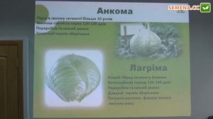 Анкома и Лагрима F1 Капуста (Rijk Zwaan) Семинар 20.09.2016