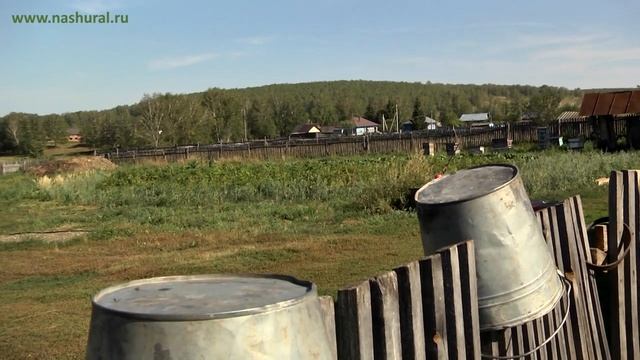 Большеустьинское, Башкортостан смотреть онлайн