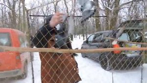 Ярмарка Выставка голубей 22.01.2022г. г.Енакиево.