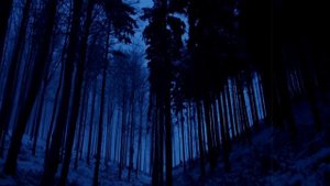 Страшные истории. Работа в ТАЙГЕ - 4.