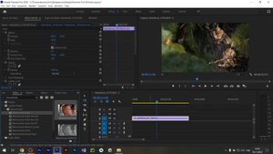 Как сделать видео Черно Белым в Premiere Pro
