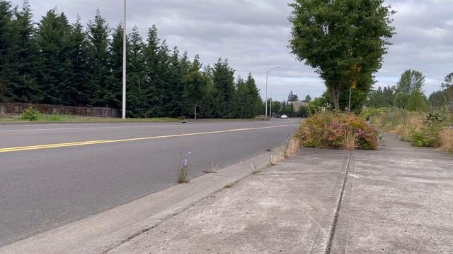 718 GT4 Kline Inconel Exhaust Sound Clips смотреть онлайн