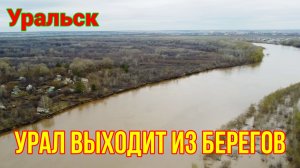 Половодье на реке Урал усиливается!