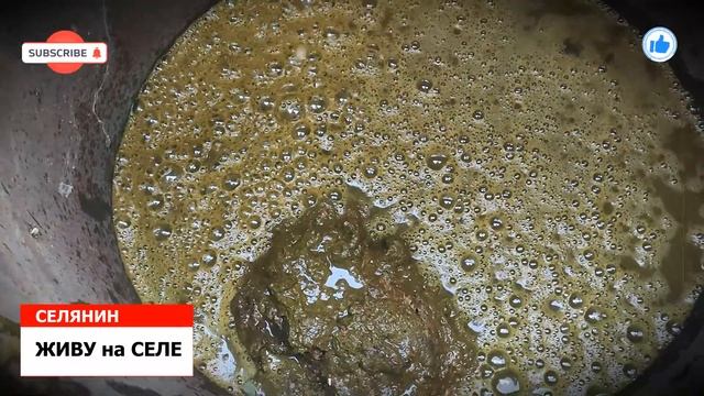 КОРОВЯК для ОГУРЦА, НАВОЗНАЯ ЖИЖА для ОГУРЦА/ЖИВУ на СЕЛЕ*СЕЛЯНИН