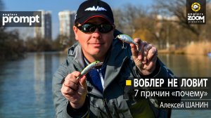 Воблер не ловит. 7 причин «почему»  Алексей Шанин.