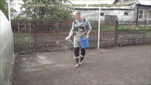 Сеем газон. Своими руками.
