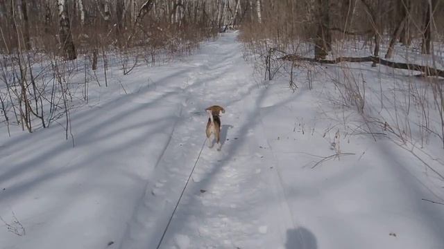 Olympus OMD EM-1 mark II. Тест работы стабилизатора и автофокуса смотреть онлайн