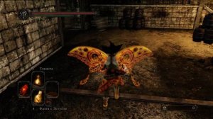 Где найти 8 шт. Окаменевшая Кость Дракона СРАЗУ в Dark Souls 2 гайд - Самая Большая нычка в ds 2