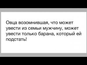 #таро #boomerang #tarot #бумеранг #расклад КАК ЖИВУТ И КАКИХ ЛЮЛЕЙ ОГРЕБАЮТ БЫВШИЙ И ЕГО ЛЮБОВНИЦА?