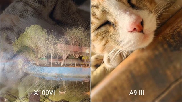 FUJIFILM X100VI VS Sony A9 III | NIGHT MODE | Camera Test