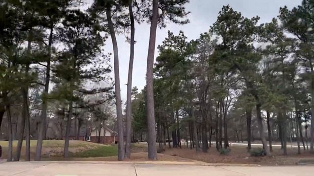 SPRING TX ⇨ MAGNOLIA TX VLOG + MINI LAKE WINDCREST NEIGHBORHOOD TOUR смотреть онлайн