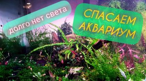 Как спасти аквариум во время отключения электричества