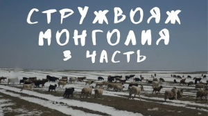 Автостопом по Монголии (часть 3)