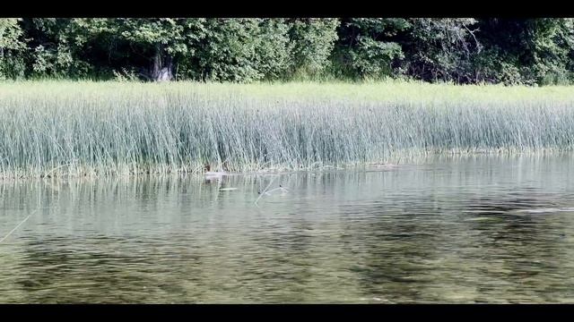 Одиночный Трехдневный Сплав по Зилиму. Часть2. смотреть онлайн