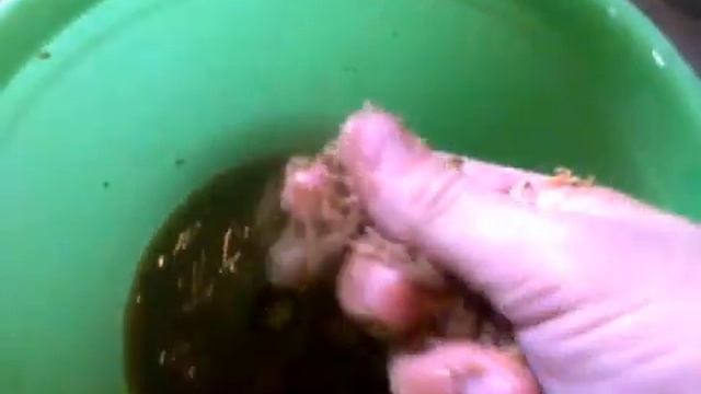 Ремонт бойлера это ВАЖНО!!! смотреть онлайн