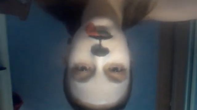 Видео рубрика: аквагрим! смотреть онлайн