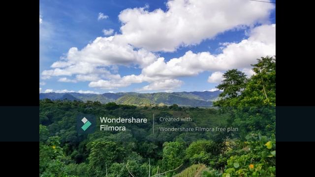 Relax.Спокойная музыка перед сном смотреть онлайн