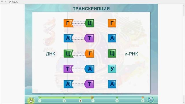 Транскрипция.Биосинтез белка. смотреть онлайн