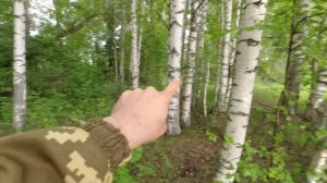 Путешествие и коп на старых урочищах