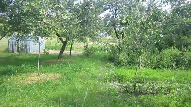 Продаётся Дача  Обзор Приусадебного Хозяйства (Dacha. Ukraine)