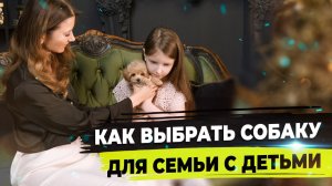 Как выбрать щенка для ребенка. Собака для детей.