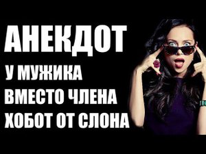 Анекдот про пересадку члена на хобот слоновий