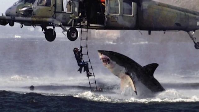 Вирусные фото, которые оказались фейком смотреть онлайн