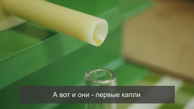 Отжим масла черного тмина сыродавленного ?
