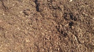 Конская подстилка