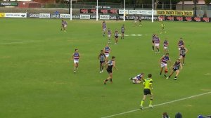 Todd Marshall Highlights v Dogs